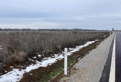 RECO teren intravilan Biharia - 6