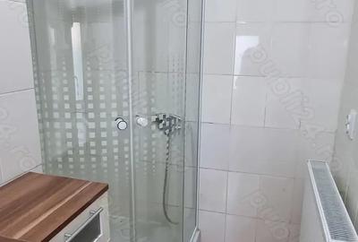 Casa de vanzare in Serbia, sat Vojvoda Stepa (10 minute de vama cu Jimbolia) - 8