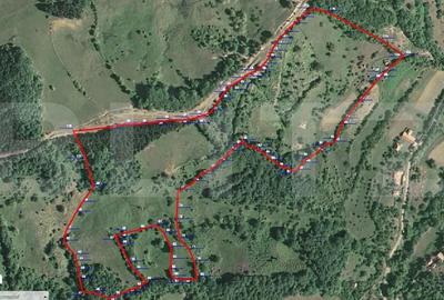 Spațiu comercial, în Poiana Ampoiului - 1