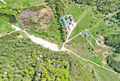 Teren Construcții intravilan de 5500 mp, în Cristian - 9