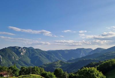 Teren de 127000 mp, în Râmeț - 1