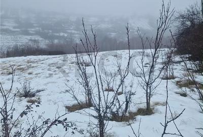 Teren de 3500 mp, în Girișu de Criș