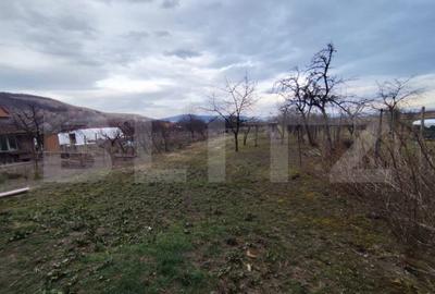 Casă cu 5 camere cu Teren 2790 Mp în Șard - 4