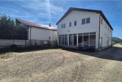 SHOWROOM ,BIROURI,DEPOZITARE - 1