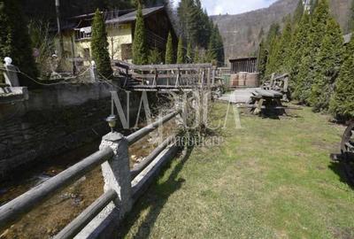 Casa 9 camere de vanzare in Sat Cerc, Valea Ierii - 3