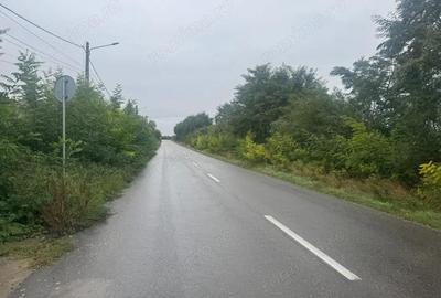Vanzare 10.000 mp teren Liteni Suceava- la strada -potrivit proiect fonduri - 7