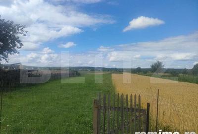 Teren intravilan la sosea, 6400 mp, Vicov de Sus - 4