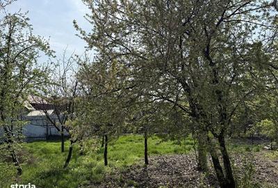 Casă cu 4 camere cu Teren 10000 Mp în Central - 2