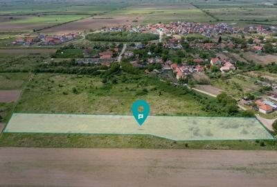 Teren extravilan 5000 mp Urseni, Timiș - 2