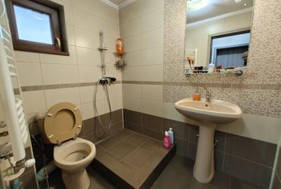 Vilă spectaculoasă – 249 mp utili, teren 881 mp, dotări premium, mobilata - 17