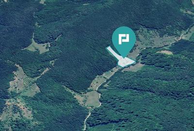 Teren pentru investi?ii in Luncoiu de Jos - 3