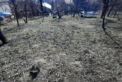 Doua case individuale cu teren total de 2753 mp in Dambul Rotund - 2