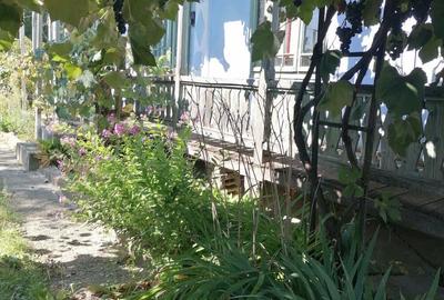 Teren în Răucești - 2