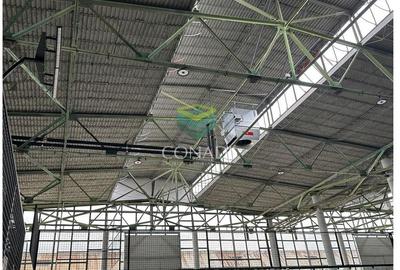 Hala depozitare / logistica Zona Obor - 7