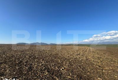 Teren de 5700 mp, în Central - 2