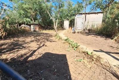 Casă cu 4 camere în Botoroaga - 6