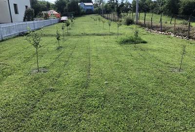 Teren de 1170 mp, în Dumbrăvești