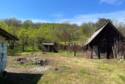 Casă cu 3 camere în Bogați - 7