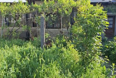 Propietar vand casa Bucurestii Noi,3 camere,140mp,deschidere 13mp,utilitati trase,teren constructie. Propietar vand casa Bucurestii Noi,3 camere,140mp,deschidere 13mp,utilitati trase,teren constructie. - 8