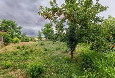 Teren agricol intravilan de 1200 mp, în Variașu Mare - 3