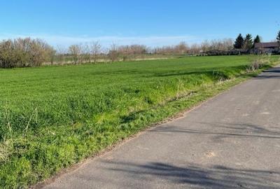 Teren intravilan de vânzare 1500mp în Vișini - 2