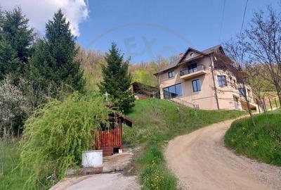 Casa imbratisata de padure - Valea Ursului, Bascov - 14