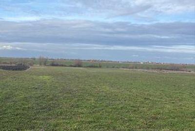 Teren de 8934 mp, în Foeni - 5