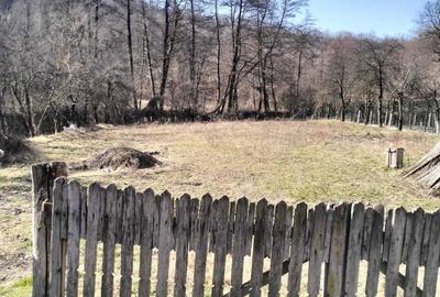 Casă cu 3 camere în Băbana - 5