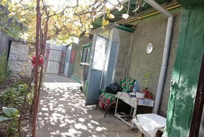 Casă cu 4 camere în Radu Negru - 1