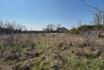 Teren de 1000 mp, în Corbu - 3