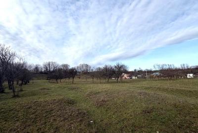 Teren Construcții intravilan de 9123 mp, în Vălenii de Munte - 2