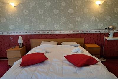 Casă cu 4 camere cu Teren 2000 Mp în Basarab - 4