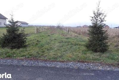 Teren de 1800 mp, în Recea - 1