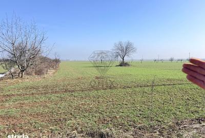 Teren de 3000 mp, în Central