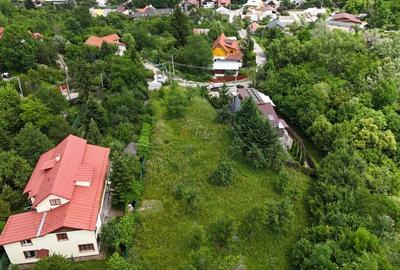 Breaza de Sus - Gura Beliei - teren cu vedere spre munte - 8