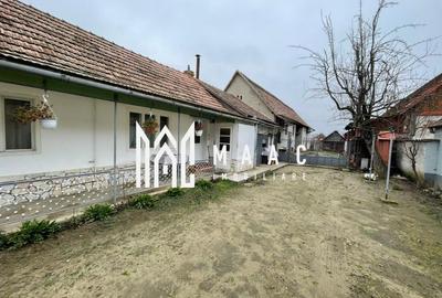 Casă I Teren de 4.500 mp I Anexe I Seica Mare - 10