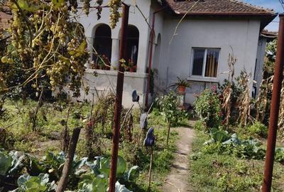 Casă cu 3 camere cu Teren 7170 Mp în Turceni - 1