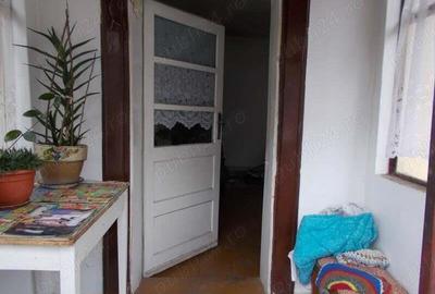 Casa, Timisoara, zona Aleea Ghirodei, de la Aleea Ghirodei inspre Canalul Bega 4 camere, 500mp teren - 4