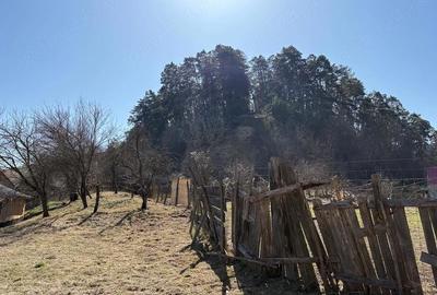 Casă cu Teren 10000 Mp în Băla - 3