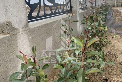 Duplex cu 4 camere cu Canalizare în Bucovăț (Remetea Mare)