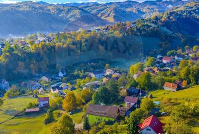 Teren de 1564 mp, în Moieciu - 2