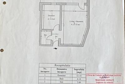 Proprietar, vând apartament cu 2 camere + curte  engleza, zona Mall Vitan - 9