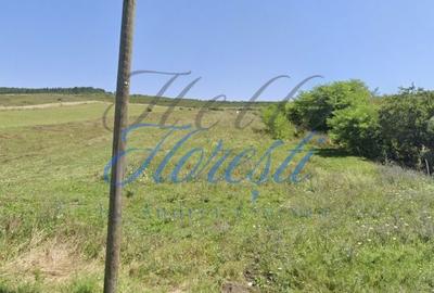 Teren de 5000 mp, în Aluniș - 2