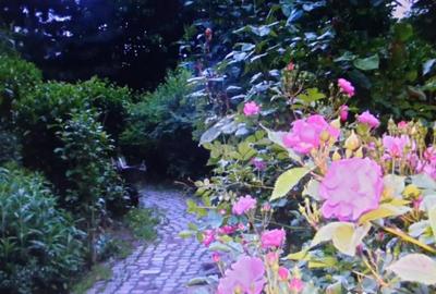 Casă cu 7 camere cu Piscina în Săftica - 5