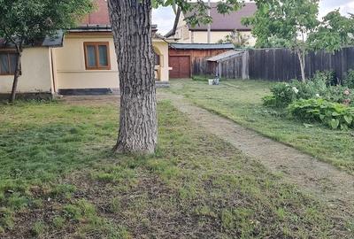Casă cu 3 camere cu Teren 1125 Mp în Șerbănești - 6