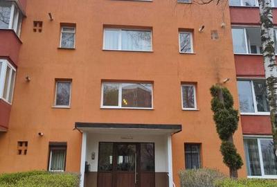 Garsonieră în Noua - 8