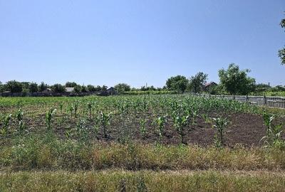 Teren de 1500 mp, în Padina - 5