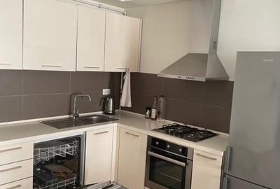 Apartament cu 2 camere semidecomandat, mobilat în Dristor - 3