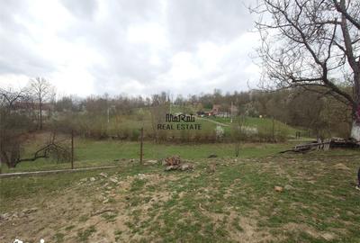 Teren de 9370 mp, în Baia de Criș - 9