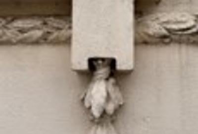 Birou, 742 mp în Central - 10